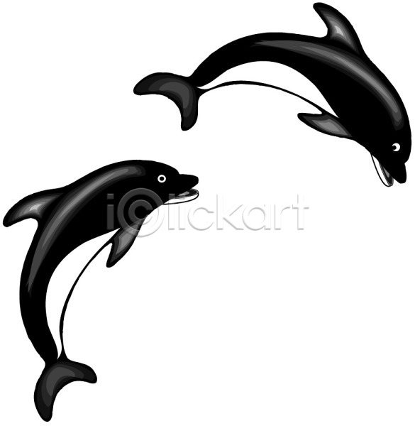 사람없음 EPS 일러스트 고래 돌고래 동물 두마리 바다동물 상어 야생동물 어류 척추동물 클립아트 포유류