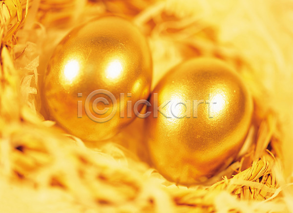 사람없음 JPG 근접촬영 포토 하이앵글 금색 두개 비즈니스 스튜디오촬영 실내 황금 황금알
