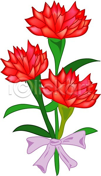 사람없음 EPS 일러스트 꽃 꽃잎 빨간색 식물 어버이날 여름꽃 잎 자연 줄기 초록색 카네이션 클립아트 화초