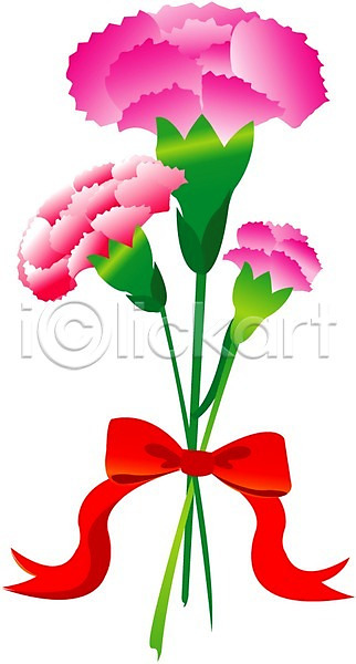 EPS 일러스트 꽃 꽃잎 분홍색 빨간색 식물 어버이날 여름꽃 잎 자연 줄기 초록색 카네이션 클립아트 화초