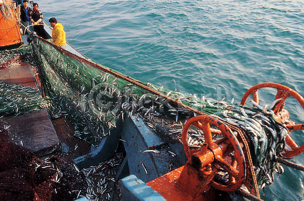 남자 남자만 사람 JPG 포토 고깃배 교통 그물 바다 배(교통) 산업 수상교통 야외 어류 어부 어선 어업 작업 주간 풍경(경치)