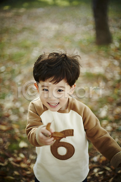 남자 소년만 소년한명만 어린이 한국인 한명 JPG 앞모습 포토 낙엽 상반신 서기 숲 야외 어린이라이프 웃음 장난 주간
