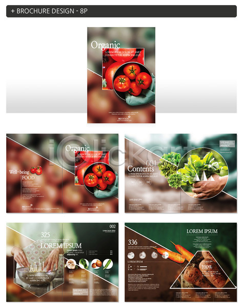 신체부위 INDD ZIP 인디자인 템플릿 당근 상추 손 수확 유기농 토마토 팜플렛