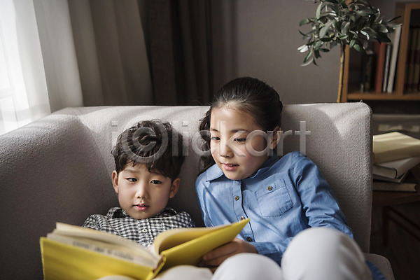 10대 남자 두명 어린이 어린이만 여자 한국인 JPG 앞모습 포토 가족 거실 남매 독서 상반신 소파 실내 앉기 책