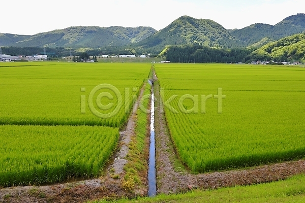 사람없음 JPG 포토 논 농경지 농촌 산 수로 아키타 야외 일본 자연 주간 풍경(경치)