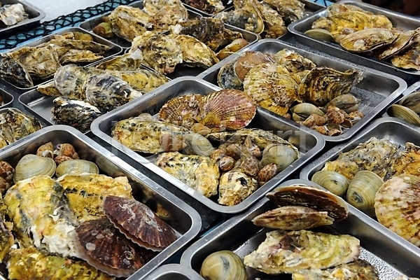 사람없음 JPG 포토 가리비 굴 야외 어시장 음식 이바라키 일본 전시 조개 주간 해산물