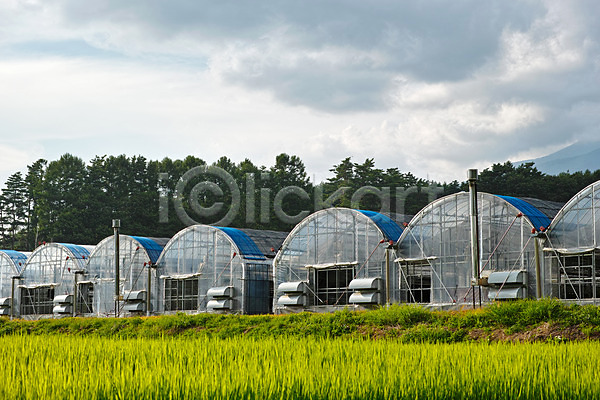 사람없음 JPG 포토 구름(자연) 나무 논 농경지 농촌 벼 비닐하우스 야마나시 야외 일본 주간 풍경(경치) 하늘