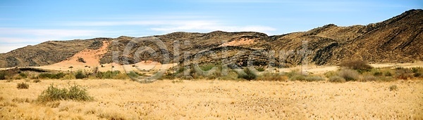 건조 따뜻함 뜨거움 사람없음 JPG 포토 해외이미지 가로 가뭄 글로벌 나무 나미비아 땅 맑음 모래 물 사막 사파리 사하라 산 새벽 생태학 수평선 아프리카 암초 언덕 일출 장면 파란색 풍경 하늘 해외202004 해외포토 햇빛 환경 황무지