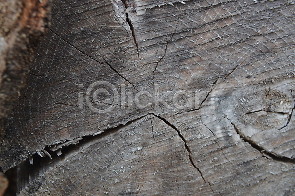 사람없음 JPG 포토 해외이미지 갈색 나무 내추럴 목재 백그라운드 사진촬영 수목 숲 쌓기 연료 자연 잡동사니 장작 질감 추상 통나무 패턴 해외202004 흙더미