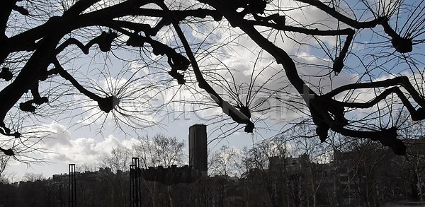 사람없음 JPG 포토 해외이미지 겨울 구름 나무 나뭇가지 룩셈부르크 정원 파노라마 파리(프랑스) 풍경 해외202004 해외포토