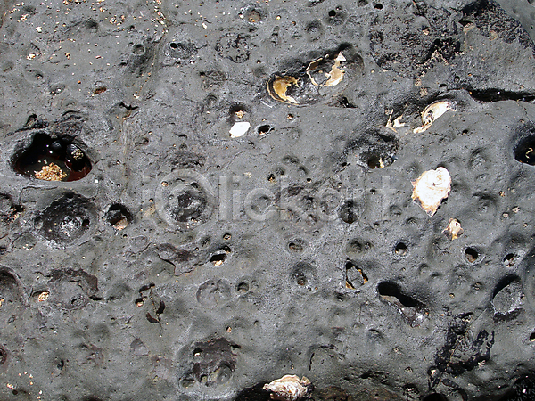사람없음 JPG 포토 해외이미지 거친 검은색 날카로움 내추럴 뉴질랜드 바다 백그라운드 부식 자연 젖음 지질학 해외202004 해일 화산 회색
