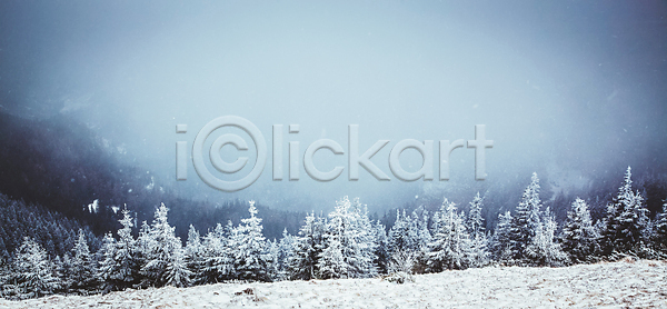 새로움 추위 축하 행복 사람없음 JPG 포토 해외이미지 12월 1월 겨울 계절 국립공원 기념 나무 날씨 눈내림 눈송이 루마니아 백그라운드 빛 산 서리 소나무 숲 야외 얼음 여행 연도 요정 자연 전나무 축제 크리스마스 태양 파란색 폭설 풍경 하늘 해외202004 해외포토 휴가 흰색