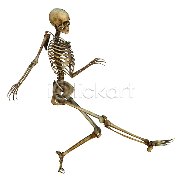 사람 사람없음 여자 3D JPG 일러스트 포토 해외이미지 건강 고립 골격 과학 만들기 모델 바비큐립 뼈 생물학 스포츠 신체 실행 약 옛날 운동 죽음 척추 춤 할로윈 해골모형 해부 해외202004 흰색