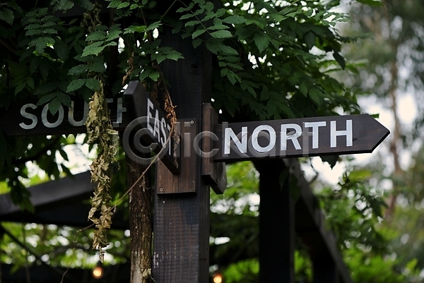 사람없음 JPG 아웃포커스 포토 나뭇잎 동서남북 방향 방향표지판 야외 주간 표지판