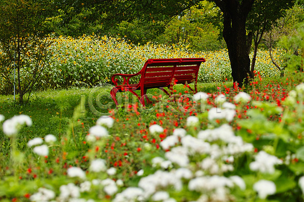 사람없음 JPG 아웃포커스 포토 공원 꽃 나무 벤치 야마나시 야외 일본 자연 주간 풍경(경치)