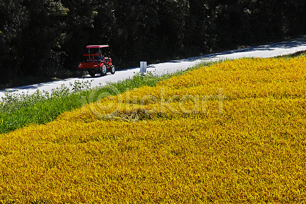한명 JPG 포토 논 농경지 농부 농사 농촌 벼 야마나시 야외 일본 주간 트랙터 풍경(경치)