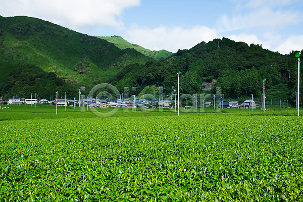 사람없음 JPG 포토 구름(자연) 농경지 농촌 밭 산 시즈오카 야외 일본 자연 주간 주택 차밭 풍경(경치) 하늘