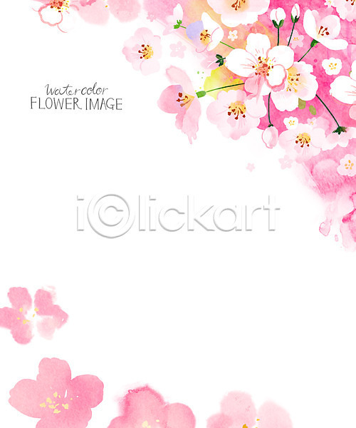 사람없음 PSD 일러스트 꽃 꽃백그라운드 꽃프레임 벚꽃 봄 봄배경 수채화(물감)