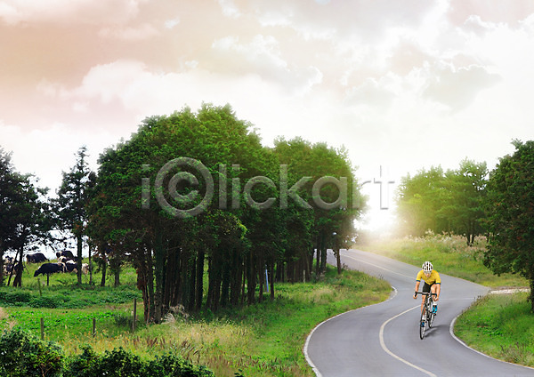 남자 성인 한명 PSD 편집이미지 구름(자연) 나무 도로 레저 목장 사이클링 숲 자전거 젖소 편집 하늘