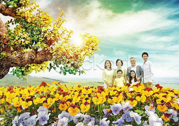 남자 노년 성인 어린이 여러명 여자 한국인 PSD 편집이미지 가족 구름(자연) 꽃밭 나무 봄 상반신 편집 하늘