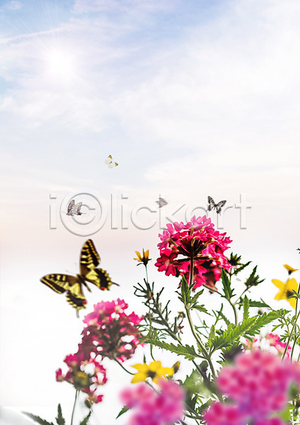 사람없음 PSD 편집이미지 구름(자연) 꽃 나비 봄 자연 편집 하늘