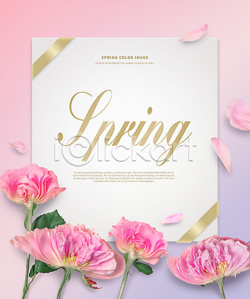 사람없음 PSD 템플릿 편집이미지 꽃 꽃잎 봄 분홍색 초대장 포스터 프레임