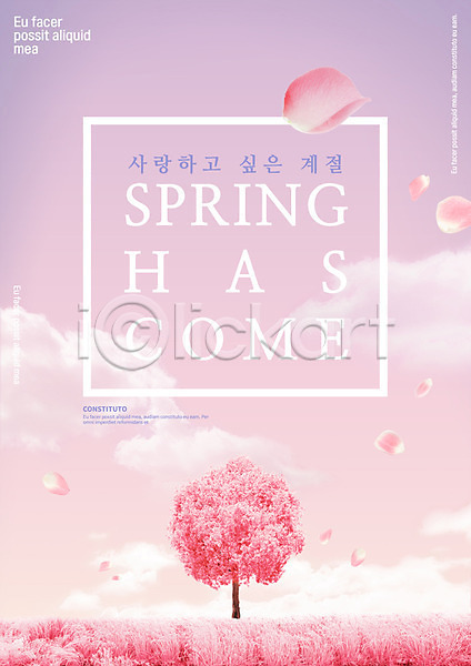 사랑 사람없음 PSD 템플릿 편집이미지 꽃잎 나무 낙화 벚꽃 봄 분홍색 포스터 하늘 한그루