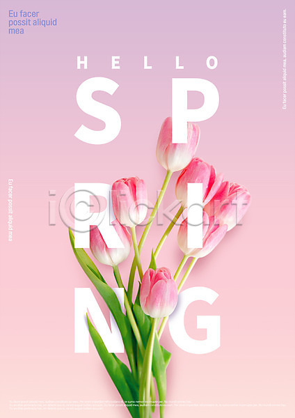 사람없음 PSD 템플릿 편집이미지 HELLO 봄 분홍색 타이포그라피 튤립 포스터