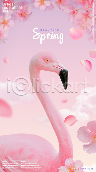 사람없음 PSD 템플릿 편집이미지 꽃잎 낙화 벚꽃 봄 분홍색 포스터 플라밍고 한마리