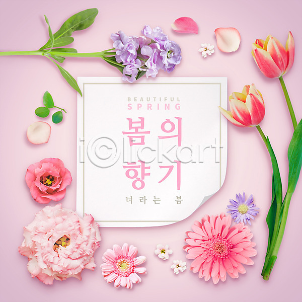 사람없음 PSD 템플릿 편집이미지 꽃 꽃잎 봄 봄향기 분홍색 포스터 프레임 향기