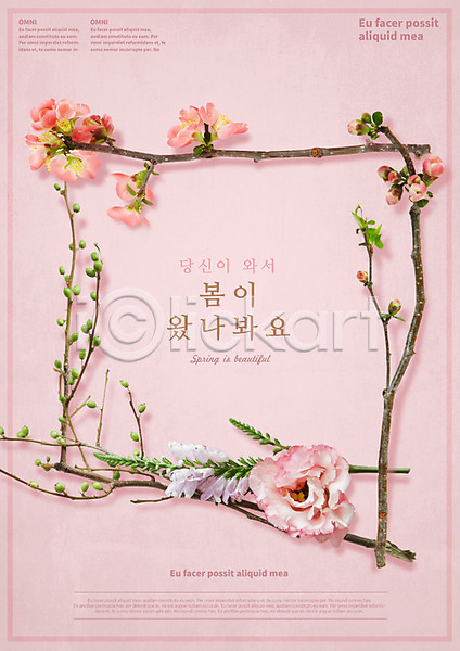사람없음 PSD 템플릿 편집이미지 꽃 나뭇가지 봄 분홍색 포스터 프레임