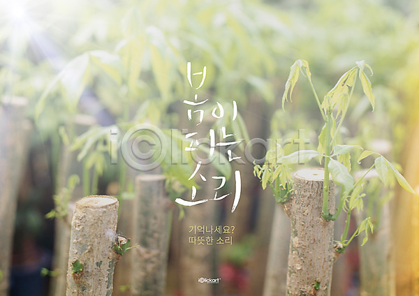 사람없음 PSD 편집이미지 봄 식물 캘리그라피 포스터