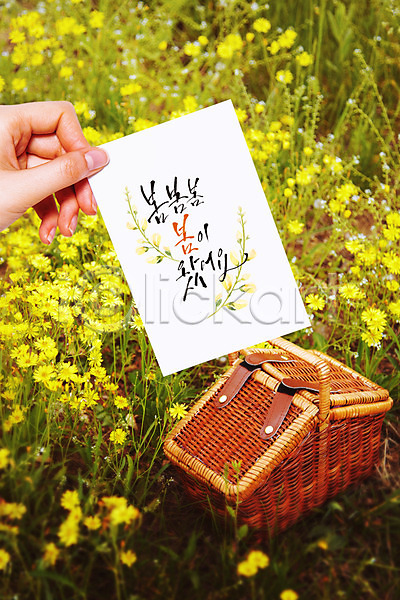 신체부위 PSD 편집이미지 꽃 들기 봄 소풍 소풍바구니 손 손글씨 수채화(물감) 엽서 캘리그라피 포스터
