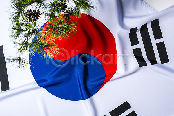 애국심 사람없음 JPG 포토 광복절 국기 문화 삼일절 소나무 스튜디오촬영 태극기 한국