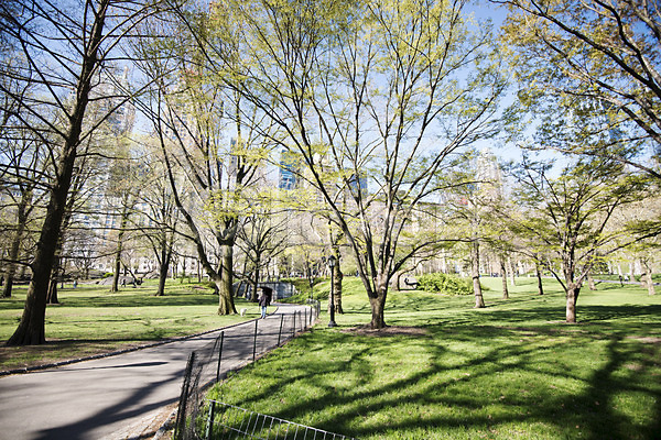 사람없음 JPG 포토 공원 길 나무 뉴욕 도시 미국 봄 센트럴파크 야외 잔디 주간 풍경(경치)