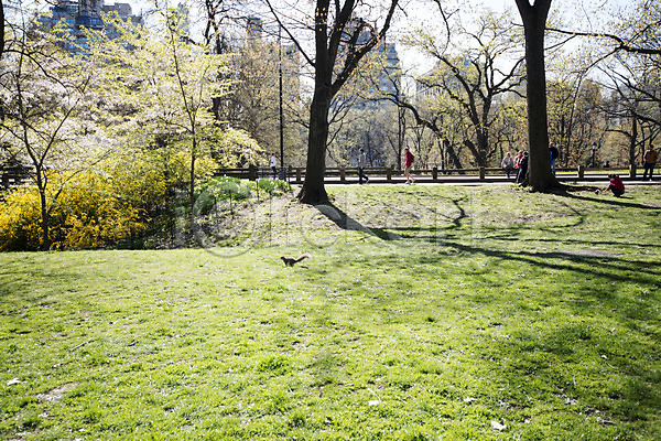 사람 여러명 JPG 포토 길 뉴욕 다람쥐 미국 봄 센트럴파크 야외 잔디 주간 풍경(경치) 한마리