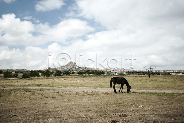 여유 사람없음 JPG 포토 구름(자연) 기암괴석 마을 말(동물) 야외 여행 주간 카파도키아 튀르키예 풍경(경치) 하늘 한마리