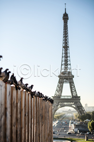 사람없음 JPG 아웃포커스 포토 도로 비둘기 야외 에펠탑 여러마리 유럽 일상 주간 트로카데로광장 파리(프랑스) 프랑스 하늘