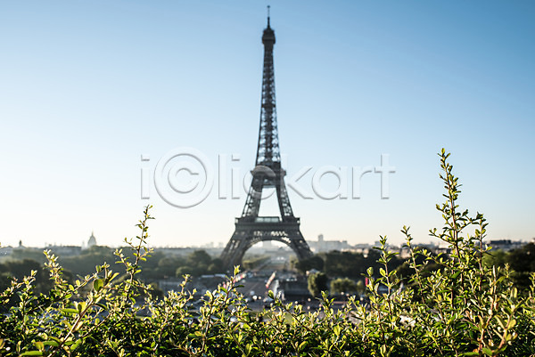 사람없음 JPG 아웃포커스 포토 나무 야외 에펠탑 유럽 주간 파리(프랑스) 프랑스 하늘
