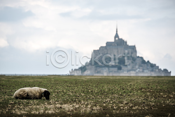 고독 사람없음 JPG 아웃포커스 포토 몽생미셸 야외 양 유럽 주간 파리(프랑스) 풍경(경치) 프랑스 한마리