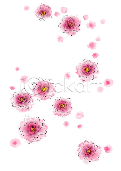 사람없음 PSD 일러스트 꽃 번짐 분홍색 연꽃(꽃) 캘리그라피