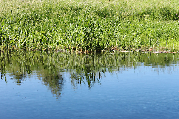 따뜻함 흐름 사람없음 JPG 포토 해외이미지 강 계절 느림 물 반사 생태학 식물 여름(계절) 우주 자연 저수지 초록색 파란색 하늘 해외202004 햇빛