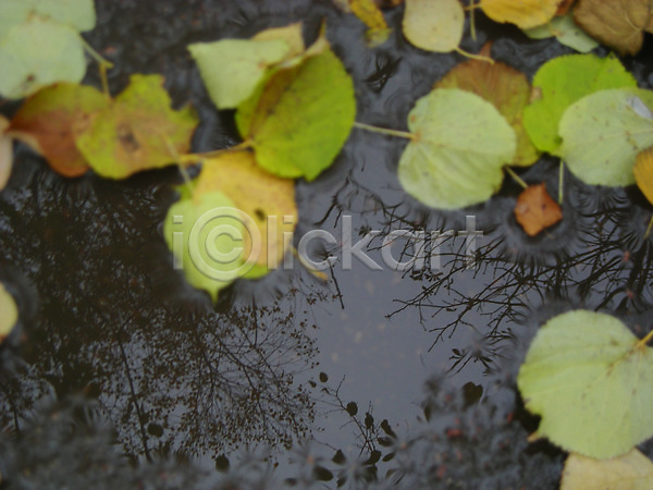 사람없음 JPG 포토 해외이미지 10월 9월 가을(계절) 거리 나뭇가지 날씨 당구 물 반사 잎 하늘 해외202004