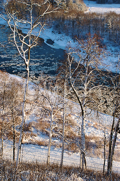 추위 침묵 사람없음 JPG 포토 해외이미지 강 겨울 계곡 계절 곡선 궁전 나무 나뭇가지 날씨 냉동 리투아니아 북극 서리 숲 야외 얼음 자연 파란색 풍경(경치) 해외202004 흰색