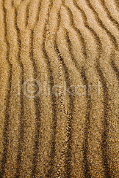뜨거움 사람없음 JPG 포토 해외이미지 맑음 모래 모래언덕 사막 야외 이란 자연 주간 풍경(경치) 하늘 해외202004