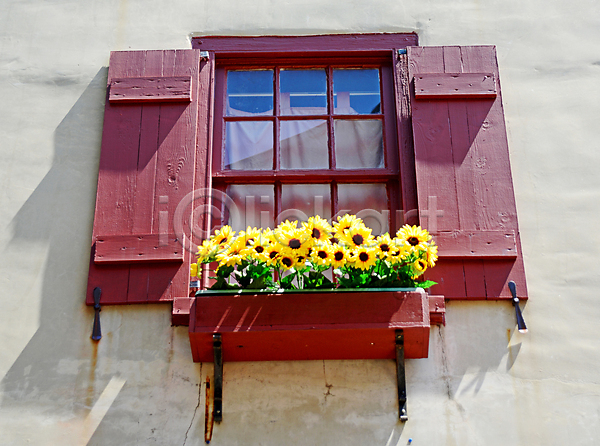 사람없음 JPG 포토 해외이미지 건축양식 골동품 르네상스 마을 빨간색 셔터 야외 역사 옛날 외관 주택 중세 창문 타운 해바라기 해외202004