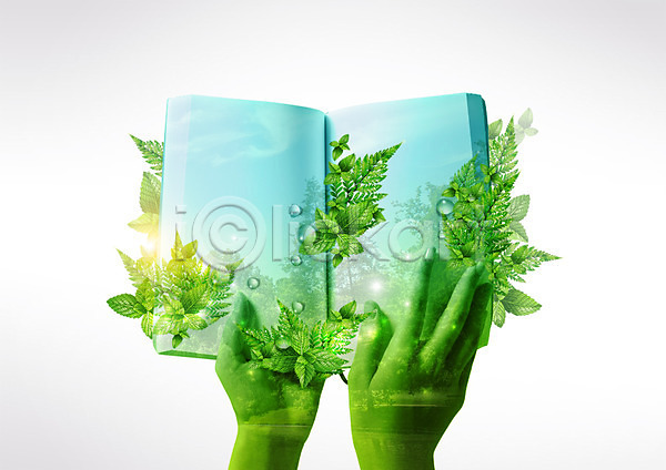 한명 PSD 편집이미지 나뭇잎 물방울 손 자연 책 초록색 편집 환경