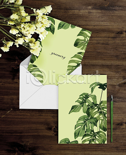 사람없음 PSD 편집이미지 그리너리 꽃 만년필 연두색 열대식물 엽서 트로피컬아트 편지봉투 편지지
