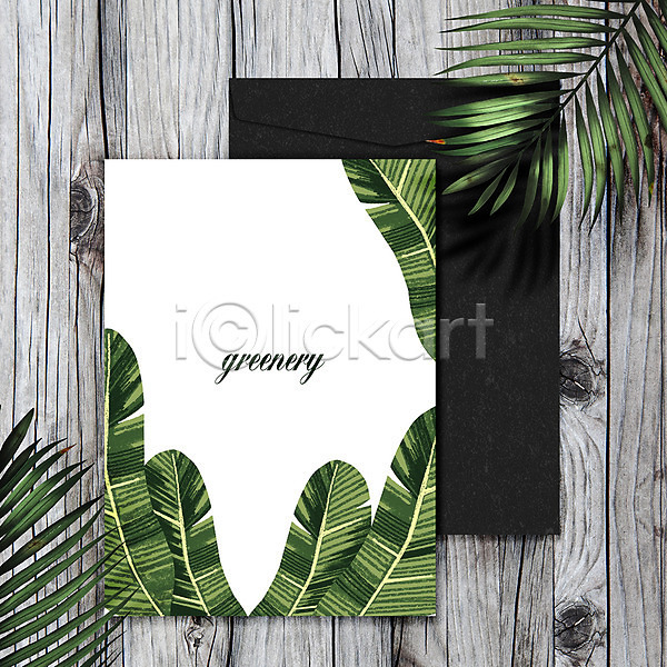 사람없음 PSD 편집이미지 그리너리 나뭇잎 연두색 열대 열대식물 엽서 트로피컬아트 편지봉투