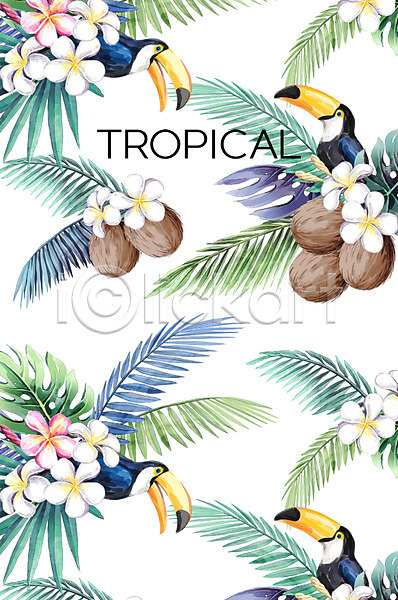 사람없음 PSD 일러스트 꽃 몬스테라 백그라운드 보테니컬아트 야자수잎 여러마리 여름(계절) 열대 코코넛 큰부리새 트로피컬아트 플루메리아